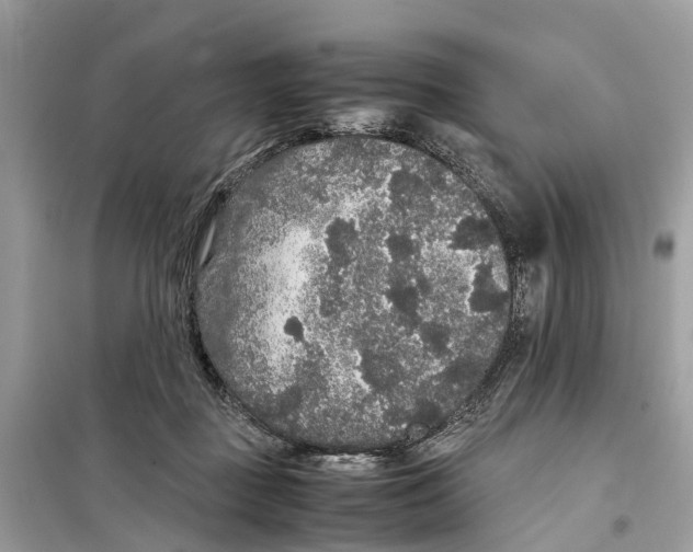 X0000099310363200805231408