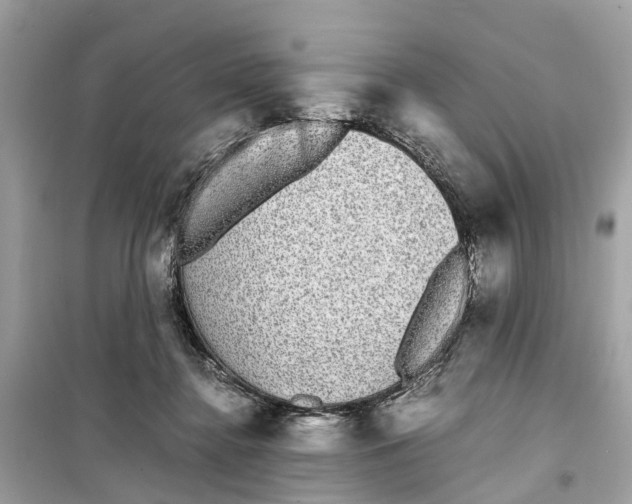 X0000099310364200805231408