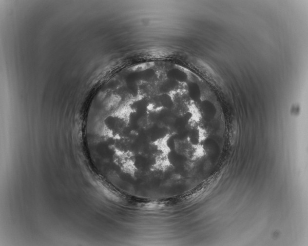 X0000099310366200805231408