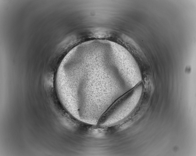 X0000099310368200805231408