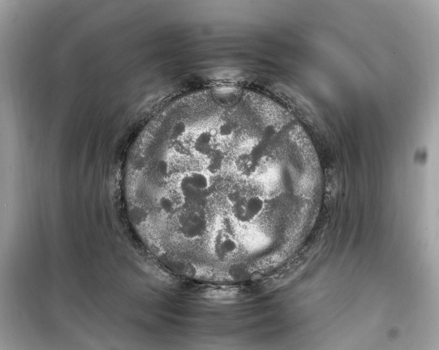 X0000099310369200805231408