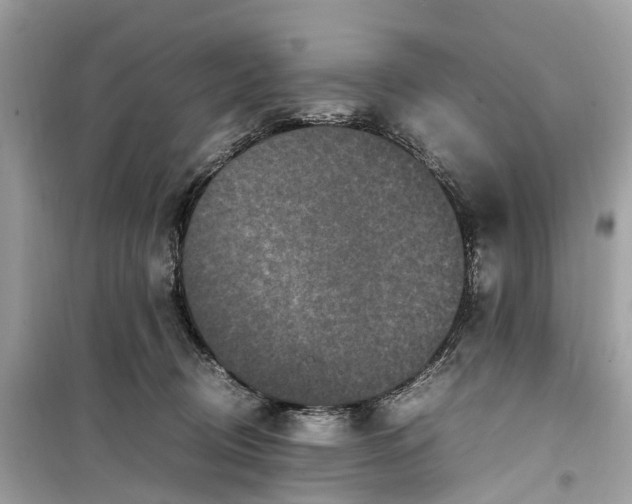 X0000099310370200805231408