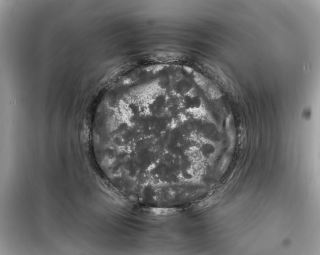 X0000099310371200805231408