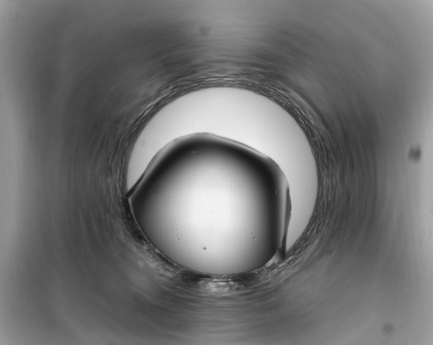 X0000099310372200805231408