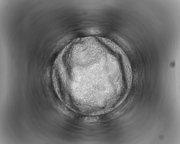 X0000099310373200805231408