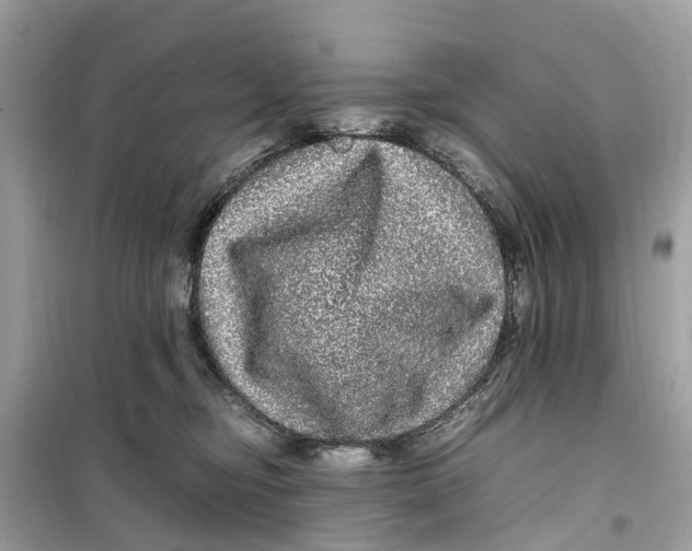 X0000099310374200805231408