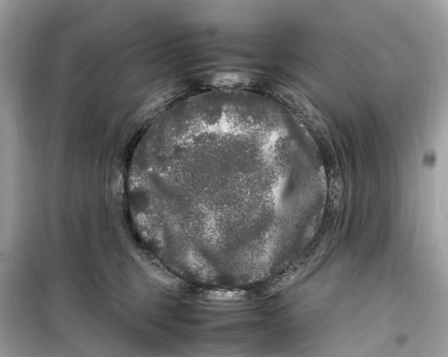 X0000099310375200805231408