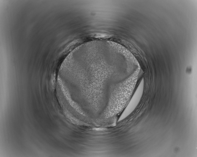 X0000099310376200805231408