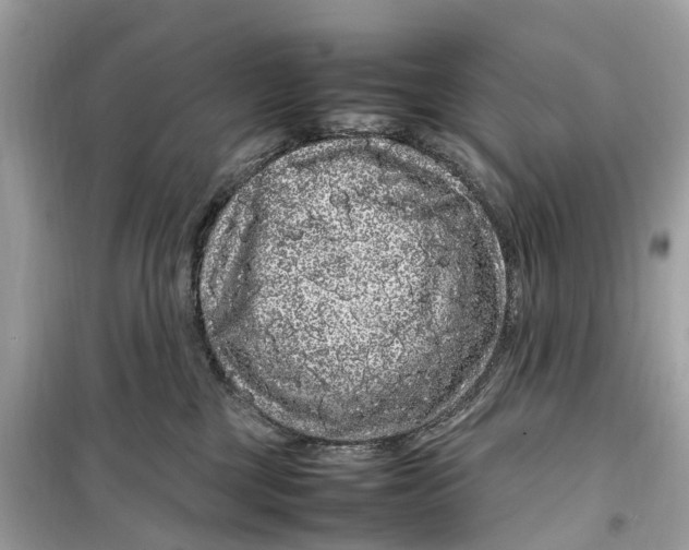 X0000099310377200805231408