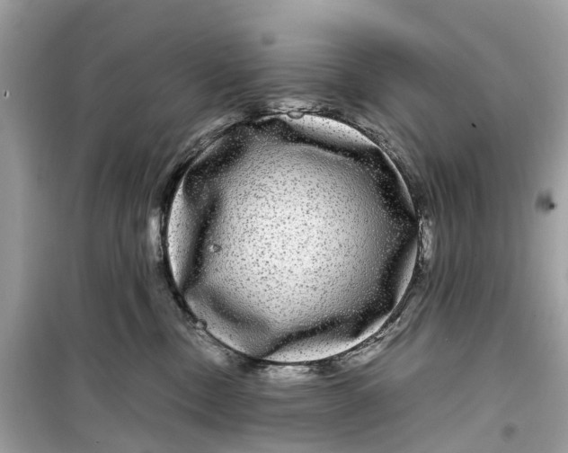 X0000099310378200805231408