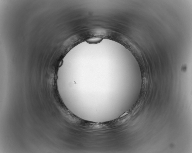 X0000099310379200805231408