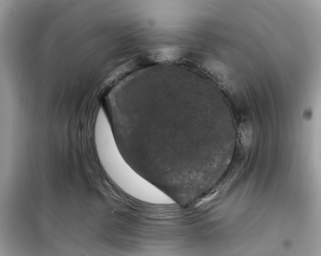 X0000099310380200805231408