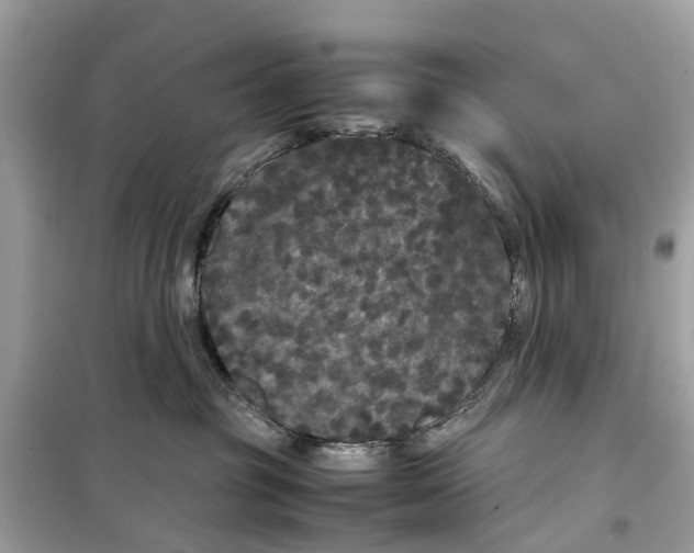 X0000099310381200805231408