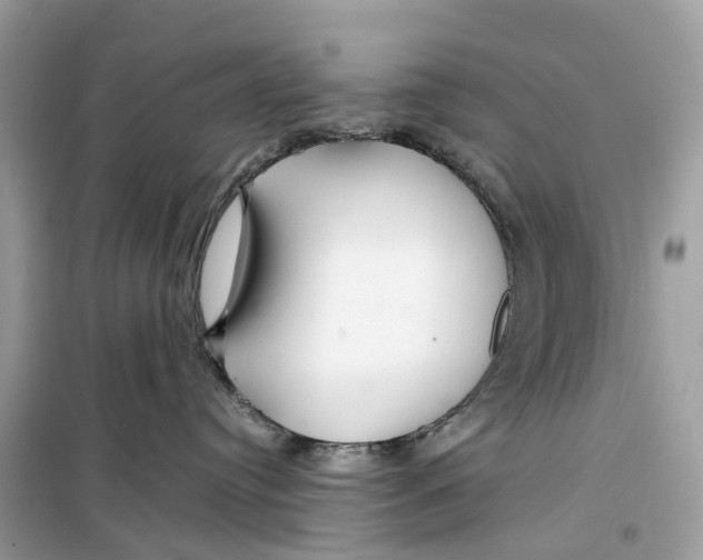 X0000099310384200805231408