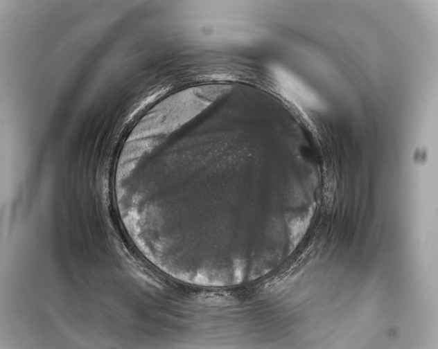 X0000099310386200805231408