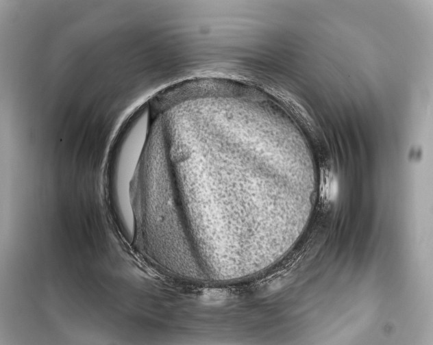 X0000099310388200805231408