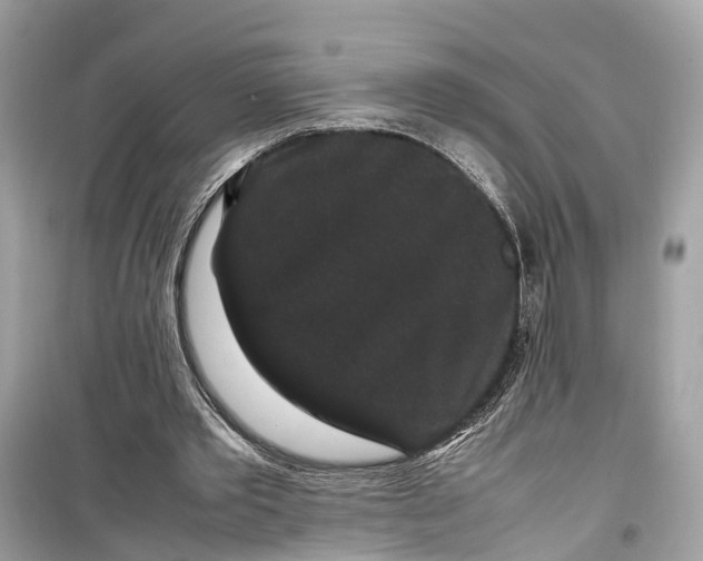 X0000099310389200805231408