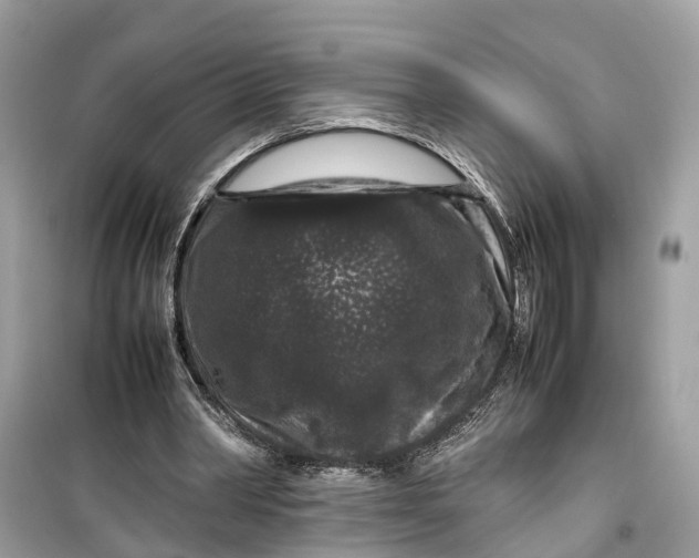 X0000099310390200805231408