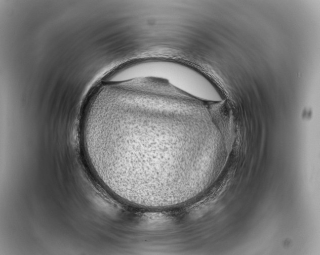 X0000099310392200805231408