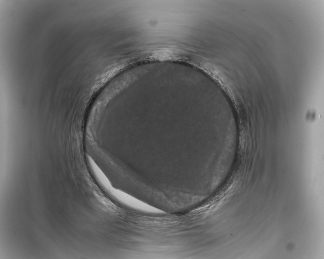 X0000099310393200805231408