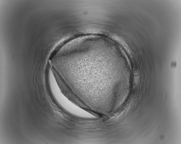 X0000099310395200805231408