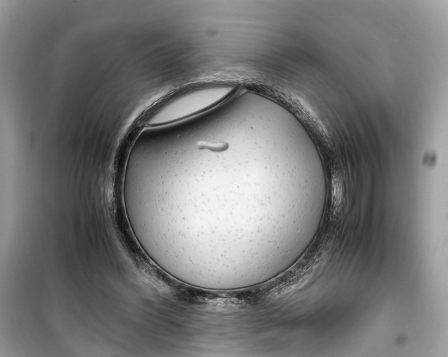 X0000099310396200805231408