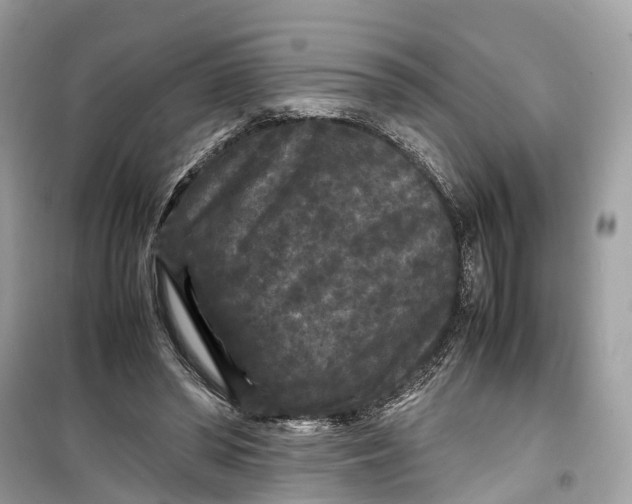 X0000099310398200805231408