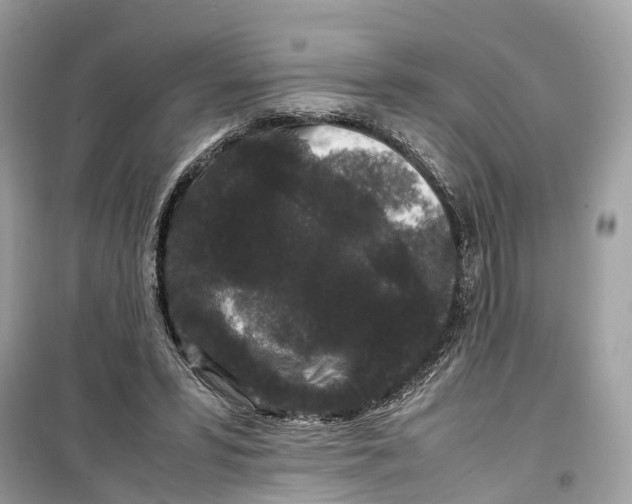 X0000099310399200805231408