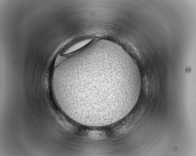 X0000099310400200805231408