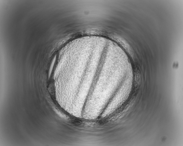 X0000099310401200805231408