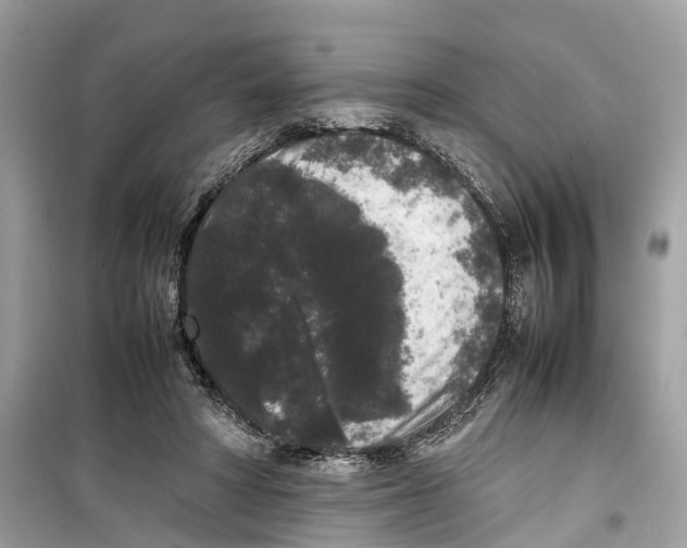 X0000099310402200805231408