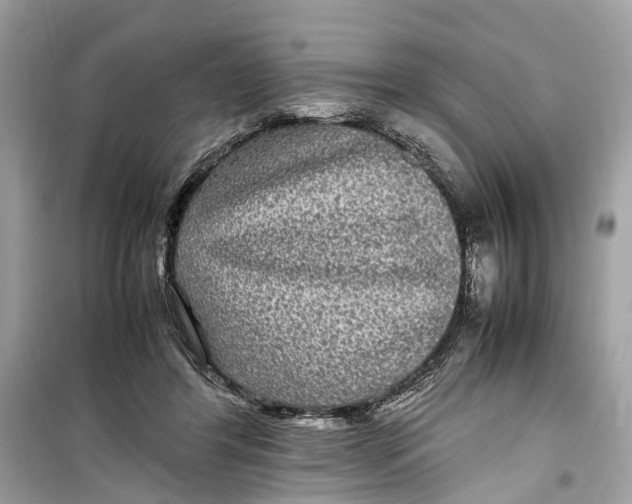 X0000099310404200805231408