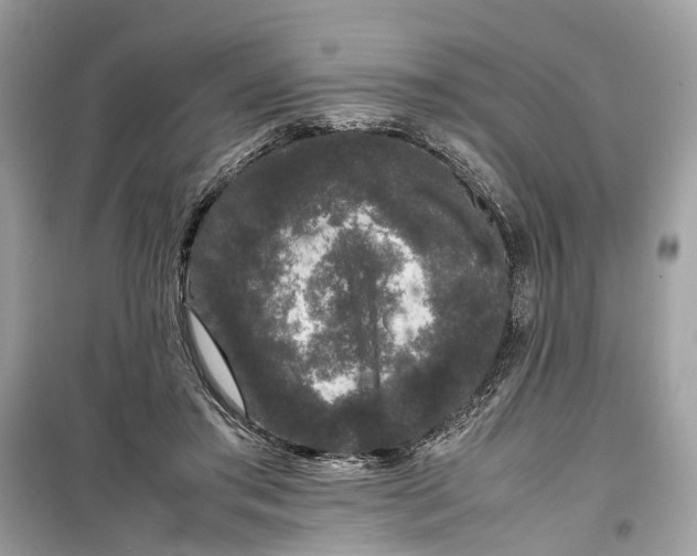 X0000099310405200805231408