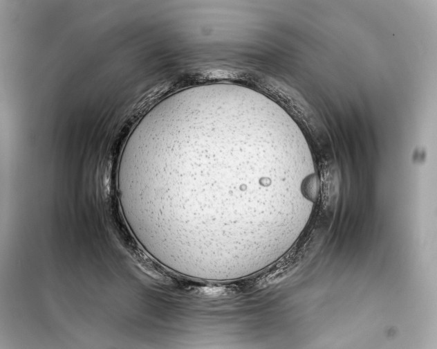 X0000099310406200805231408