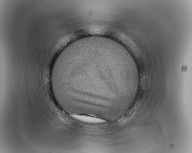 X0000099310407200805231408