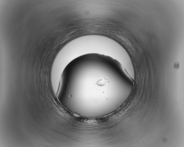 X0000099310409200805231407