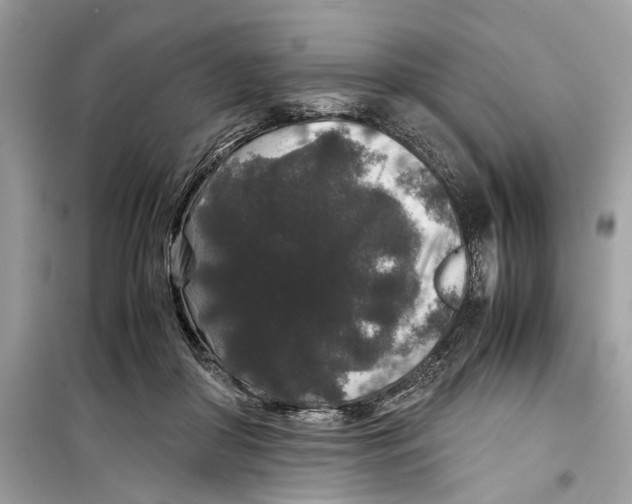 X0000099310410200805231407