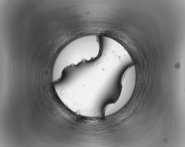 X0000099310411200805231407