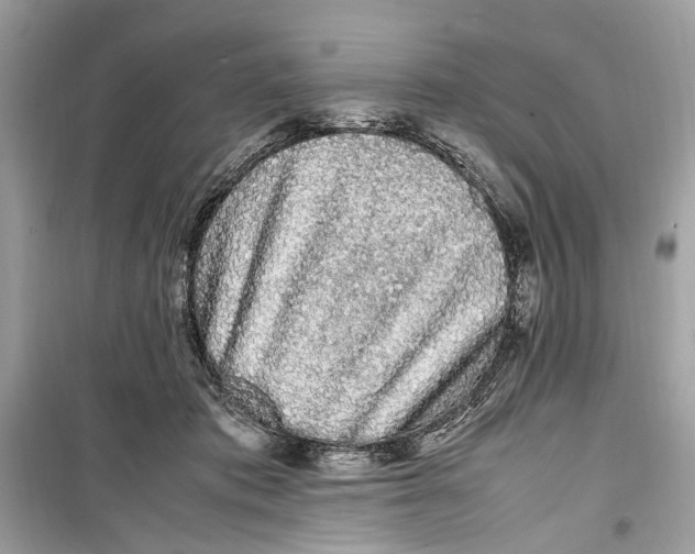 X0000099310413200805231407