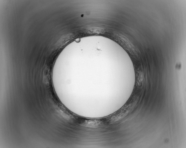 X0000099310414200805231407