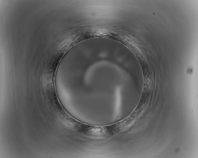 X0000099310415200805231407