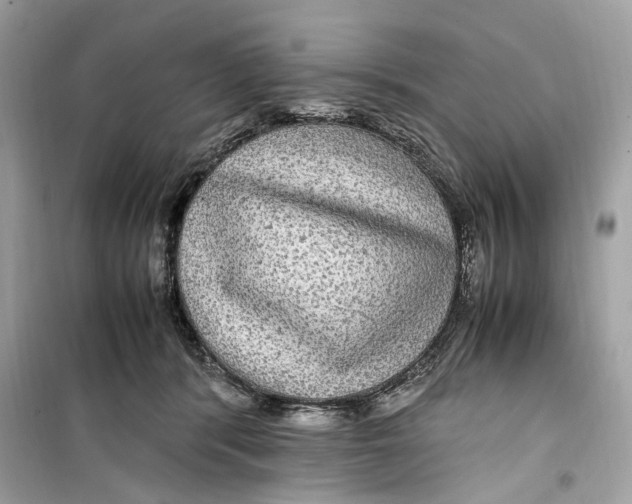 X0000099310416200805231407