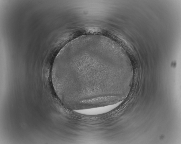 X0000099310417200805231407