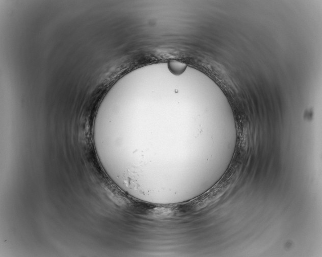 X0000099310418200805231407