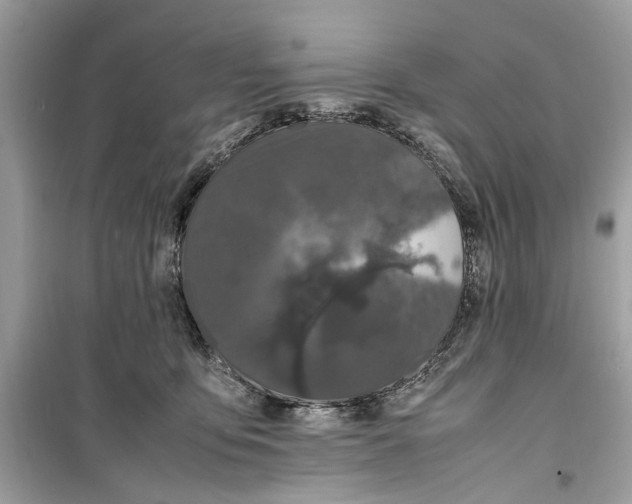 X0000099310419200805231407