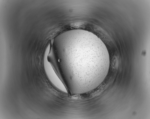 X0000099310420200805231407