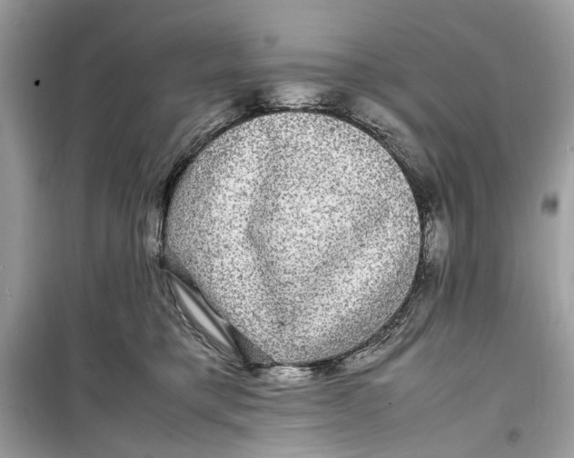 X0000099310421200805231407