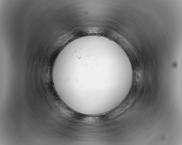 X0000099310422200805231407