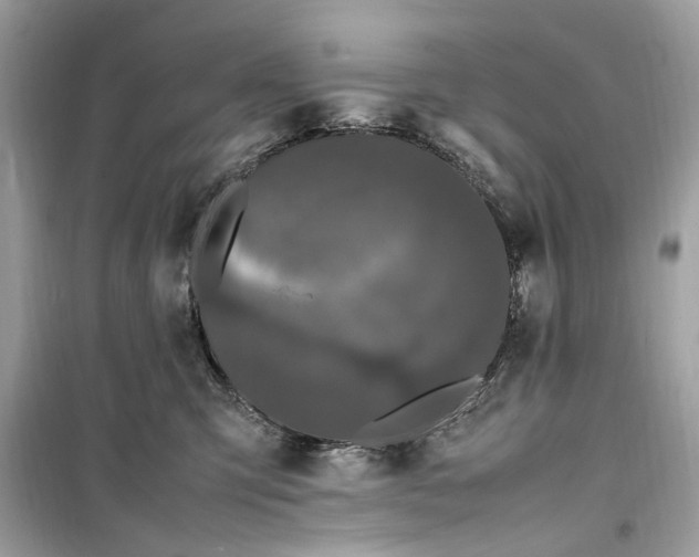 X0000099310423200805231407