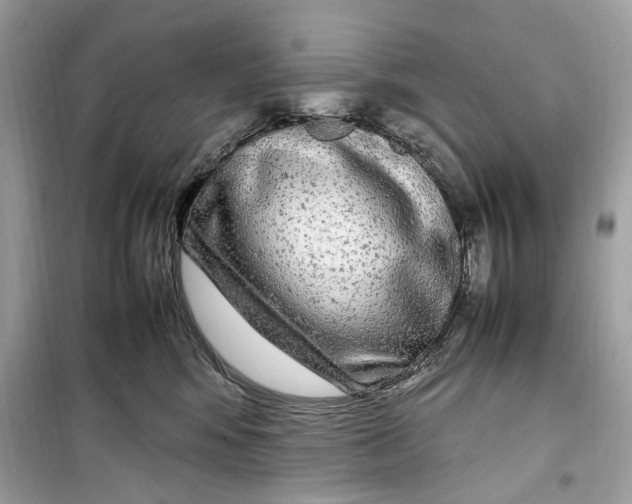 X0000099310424200805231407